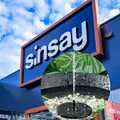 Hit z Sinsay za jedyne 29,99 zł! Fontanna solarna, która ożywi Twój balkon lub ogród!