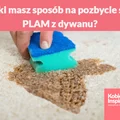 Jaki masz sposób na pozbycie się PLAM z dywanu?