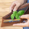 Ta jedna rzecz zmieni Twoje finanse! Włóż ją do portfela a nie pożałujesz!