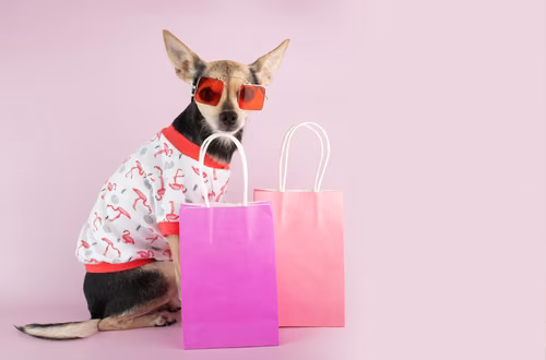 Te 2 znaki zodiaku zawsze wydają fortunę w sklepie! „Lista zakupów? A co to takiego?