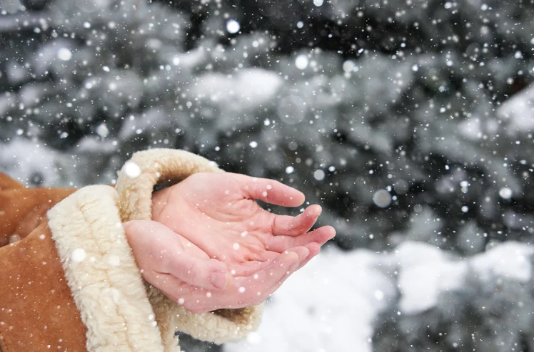 Zdjęcie Miękkie jak puch mimo mrozów - Jak prawidłowo dbać o dłonie zimą? Sprawdź i pożegnaj szorstką skórę! #1