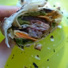 Domowe tortille