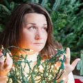 Nie spędzam świąt z rodziną! ! Mam dość bycia czarną owcą przy świątecznym stole! [LIST]