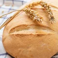 Chleb pszenny w godzinę