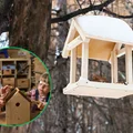 Karmnik jak pułapka – 7 błędów, które mogą zaszkodzić ptakom
