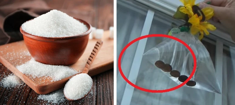 Chcesz pozbyć się much? Zrób prostą pułapkę!