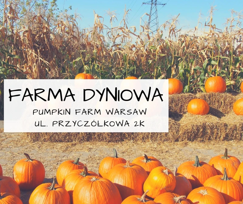 Farma dyniowa