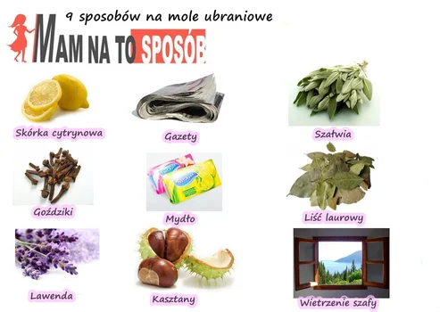 Jak się pozbyć moli z szafy?