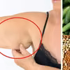 Co jeść, aby ujędrnić zwiotczałą skórę? 7 produktów