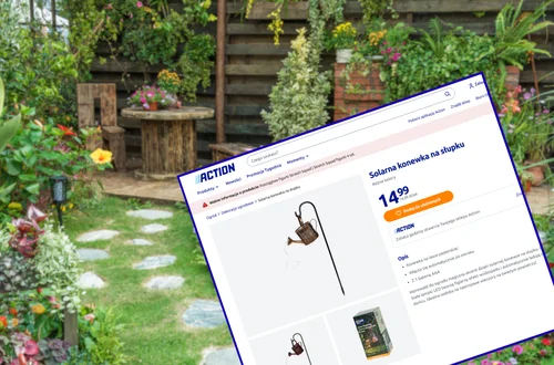 Ta solarna konewka z Action za 14 zł robi furorę w ogrodach! Efekt świetlnego wodospadu - bez kabli i prądu