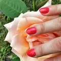 Perfekcyjny manicure przez 2 tygodnie - hybrydy krok po kroku