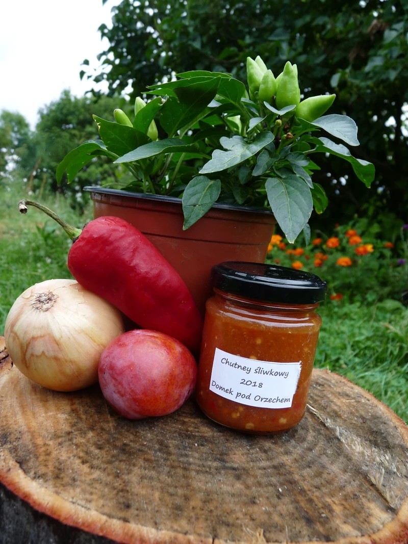 Pikantny chutney na zimę