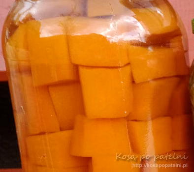 Dynia w occie