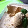 Domowe lody dwuskładnikowe