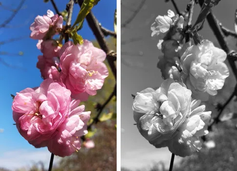 Mam wybór – wybieram szczęście