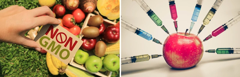 Jak rozpoznać OWOCE GMO?