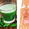 Chlorella (glony morskie) – kilka powodów, dla których warto je jeść