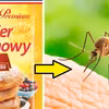 Cukier wanilinowy odstrasza komary! Sprawdź, jak go stosować
