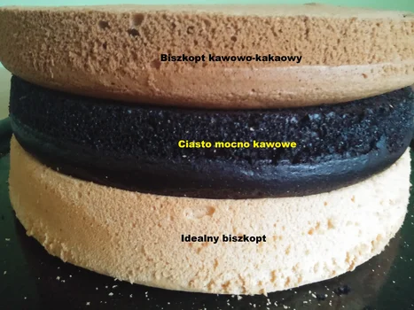IDEALNY BISZKOPT KAWOWY