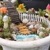 Mianiaturowy ogród syren - Mermaid Garden