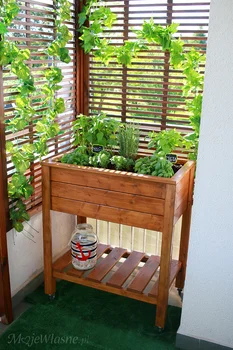 Drewniany planter na zioła
