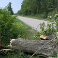 Do Polski nadchodzi niebezpieczeństwo pogodowe! Za kilka godzin ogłoszą alerty!