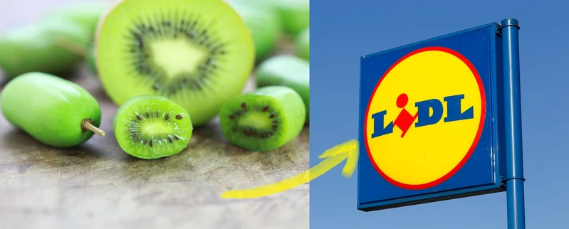 SUPERFOOD dostępny w Lidlu! Możesz go jeść bez obierania go ze skórki! Hodowany w Polsce!