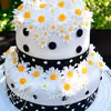 Tort w stokrotki