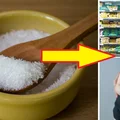 Tyjesz i nie wiesz dlaczego ? Możliwe, że jest to wina E621. To NIE CUKIER ANI SÓL!