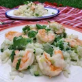 Risotto z bobem