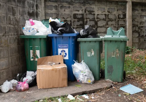 Kary za niewłaściwą segregację: Możesz zapłacić za śmieci sąsiada!