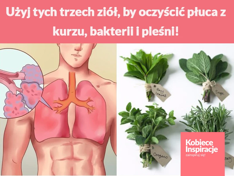 Użyj tych trzech ziół, by oczyścić płuca z kurzu, bakterii i pleśni!