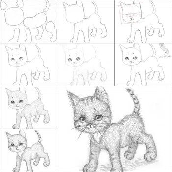 Jak narysować kota - krok po kroku