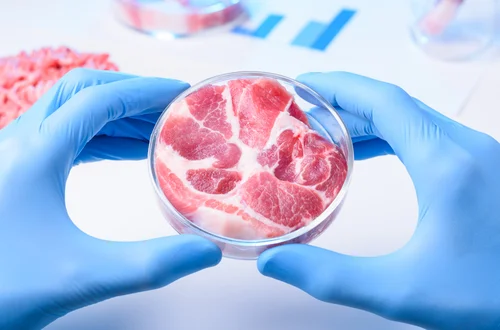 Polscy naukowcy tworzą mięso bez krwi - rewolucja na stole!