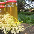 Syrop z kwiatów czarnego bzu – przepis i zastosowanie