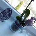 Wielkanoc