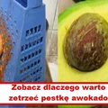 Nigdy nie wyrzucaj PESTKI AWOKADO! Zobacz dlaczego