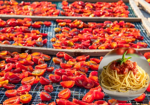 Masz za dużo pomidorów? Wystaw je na słońce – zimą sobie podziękujesz