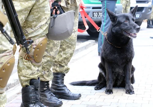 Święto Straży Granicznej – Dzień Uznania dla Obrońców Granic