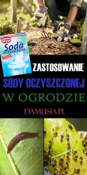 Zastosowanie Sody Oczyszczonej w Ogrodzie