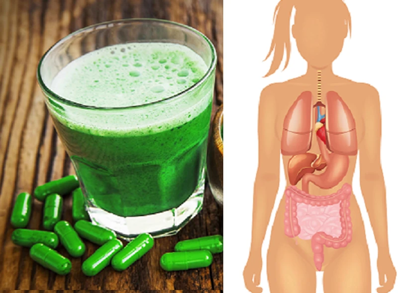 Chlorella (glony morskie) – kilka powodów, dla których warto je jeść