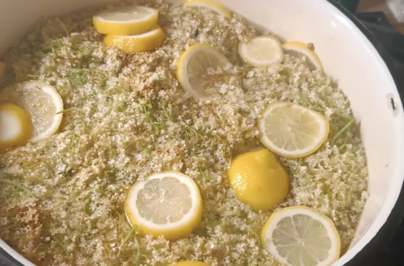 Gotuję kwiaty czarnego bzu z cytryną i cukrem. Powstaje aromatyczny syrop, który Polacy robią od pokoleń