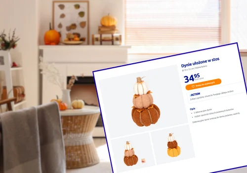 Te dynie z Action będą hitem jesieni do salonu i na ganek! Zestaw 3 sztuk za 34 zł, a mieszkanie jak zaczarowana kraina