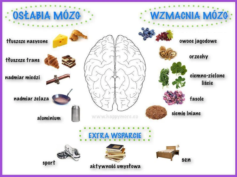 CO WZMACNIA – OSŁABIA MÓZG ?