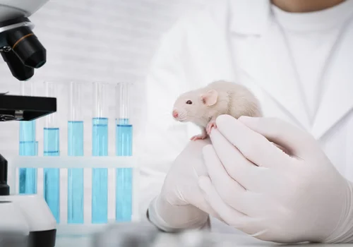 Światowy Dzień Zwierząt Laboratoryjnych: Refleksja nad Etyką i Alternatywami