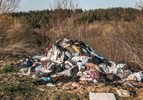 To już plaga! Polacy zasypują lasy starymi ubraniami, bo legalne rozwiązania są mało dostępne?