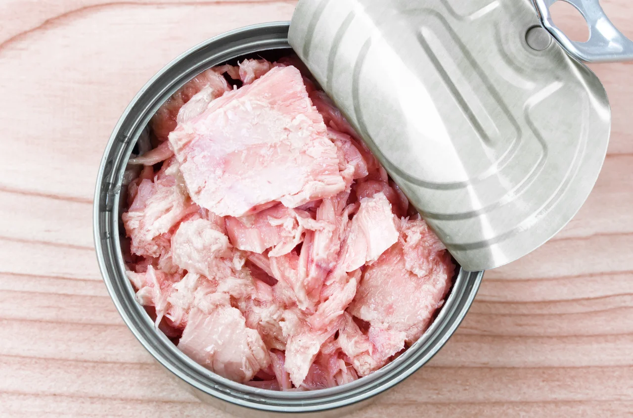 Światowy Dzień Tuńczyka: Ochrona i Zrównoważone Rybołówstwo