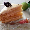 Tort Rafaello