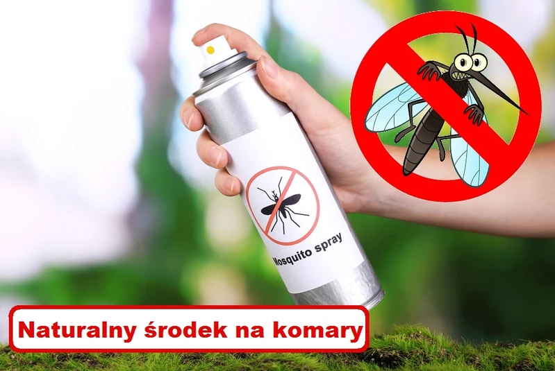 DOMOWY ŚRODEK NA KOMARY – super przepis!