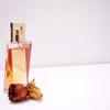 Najpopularniejsze kobiece perfumy